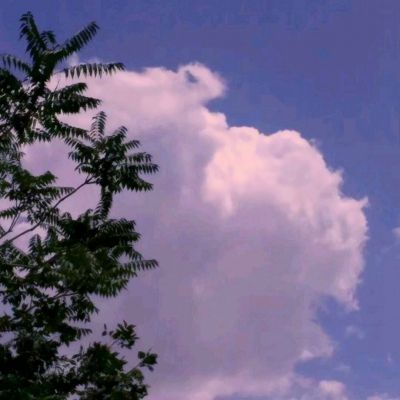 谁是大主公果盘游戏下载
