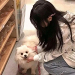 育龙高手应用宝客户端下载